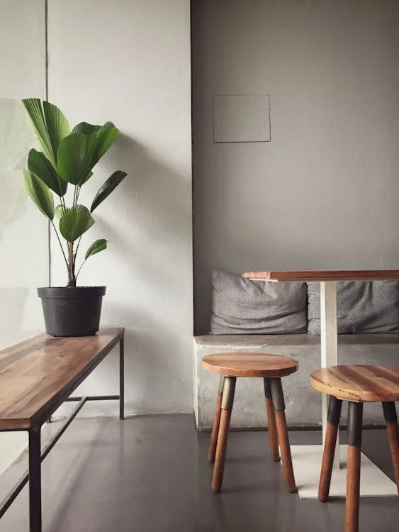 Minimalist interior featuring a wooden bench